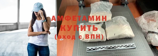 прущие крисы Пересвет