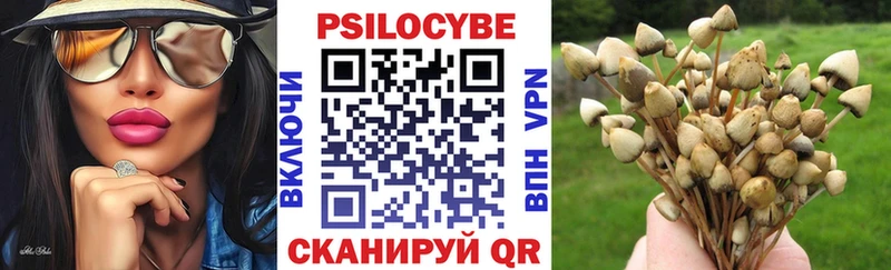 хочу   Сельцо  Галлюциногенные грибы прущие грибы 